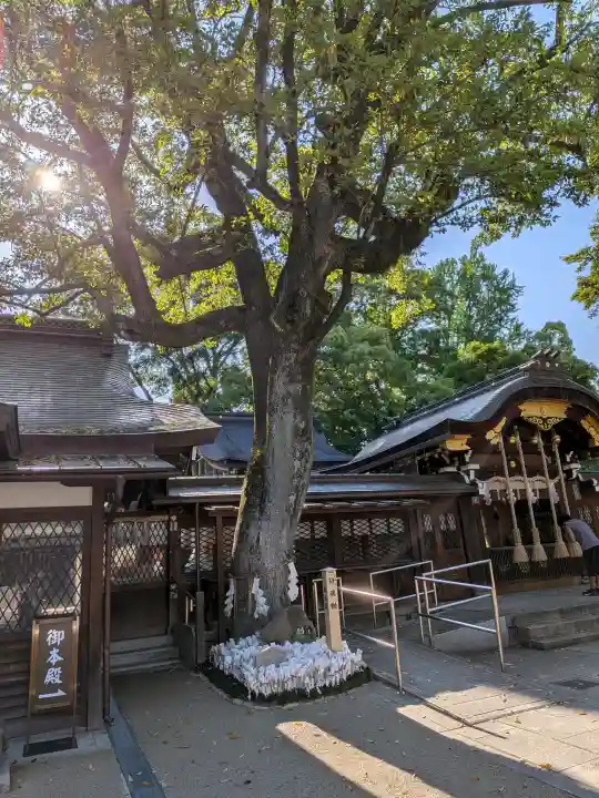 護王神社の{uncategorized: "未分類", other: "その他", undefined: "問題あり", building: "その他建物", grave: "お墓", sacred_gate: "鳥居", guardian: "狛犬", statue: "像", buddha: "仏像", history: "歴史", nature: "自然", garden: "庭園", animal: "動物", pagoda: "塔", temizu: "手水舎", mountain_gate: "山門・神門", sanctuary: "本殿・本堂", subordinate: "末社・摂社", art: "芸術", scenery: "景色", jizo: "地蔵", ema: "絵馬", goshuin: "御朱印", omikuji: "おみくじ", items: "授与品その他", amulet: "お守り", goshuincho: "御朱印帳", eats: "食事", festival: "お祭り", votive_dance: "神楽", shichigosan: "七五三参", wedding: "結婚式", experience: "体験その他", initially: "初詣", around: "周辺", anti_infection: "感染症対策"}