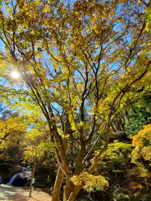 大峯不動尊の自然