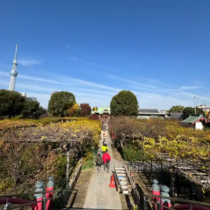 亀戸天神社(東京都)