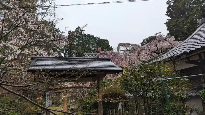 十輪寺(京都府)
