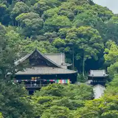 長谷寺(奈良県)