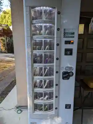 忍　諏訪神社・東照宮　(埼玉県)