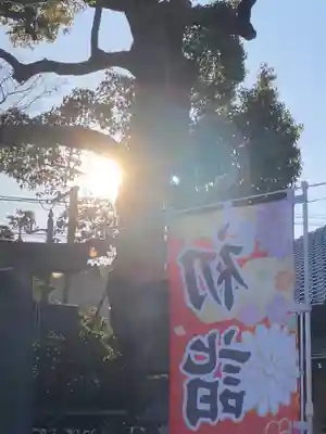 龍ケ崎八坂神社(茨城県)