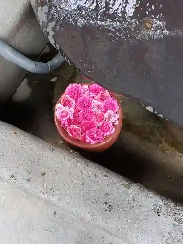 菅生神社の手水舎