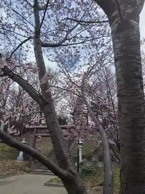 厚別神社(北海道)