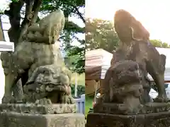 八坂神社の狛犬