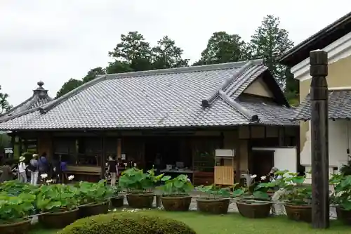 三室戸寺のその他建物