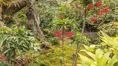 木食寺安祥院(京都府)