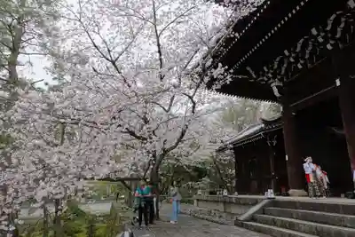 知恩院(京都府)