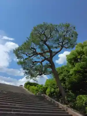 明治天皇伏見桃山陵のその他建物