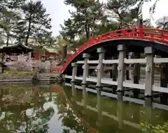 住吉大社の庭園