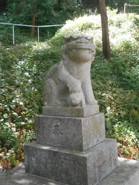 熊野神社の狛犬