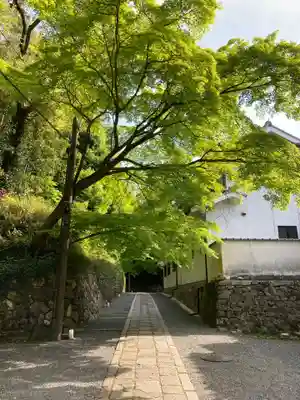 東福禅寺(東福寺)のその他建物