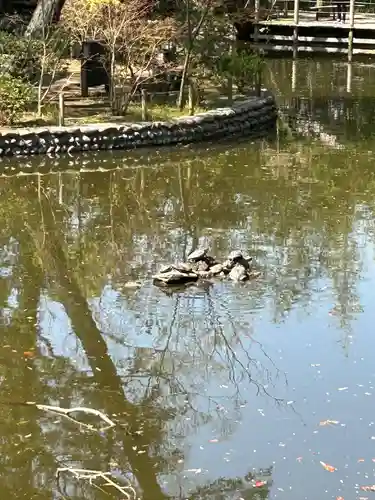 武蔵一宮氷川神社(埼玉県)