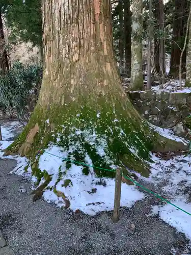 宝積山光前寺の庭園