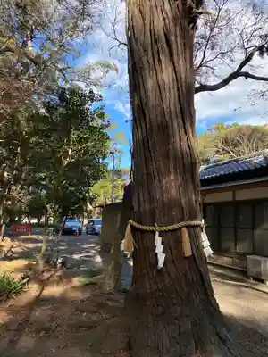 息栖神社(茨城県)