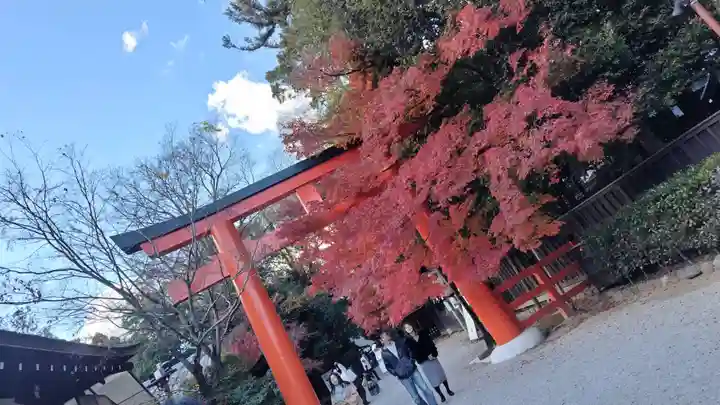 賀茂御祖神社(下鴨神社)(京都府)