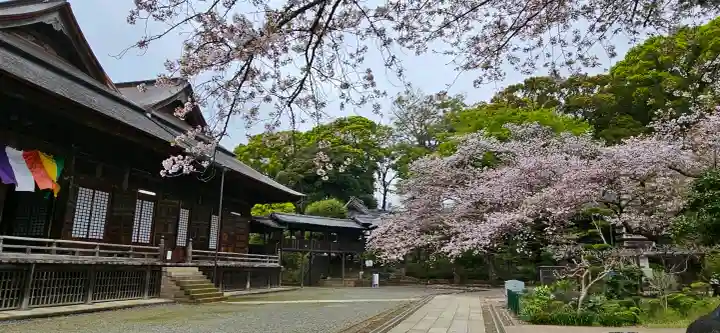 法華経寺の{uncategorized: "未分類", other: "その他", undefined: "問題あり", building: "その他建物", grave: "お墓", sacred_gate: "鳥居", guardian: "狛犬", statue: "像", buddha: "仏像", history: "歴史", nature: "自然", garden: "庭園", animal: "動物", pagoda: "塔", temizu: "手水舎", mountain_gate: "山門・神門", sanctuary: "本殿・本堂", subordinate: "末社・摂社", art: "芸術", scenery: "景色", jizo: "地蔵", ema: "絵馬", goshuin: "御朱印", omikuji: "おみくじ", items: "授与品その他", amulet: "お守り", goshuincho: "御朱印帳", eats: "食事", festival: "お祭り", votive_dance: "神楽", shichigosan: "七五三参", wedding: "結婚式", experience: "体験その他", initially: "初詣", around: "周辺", anti_infection: "感染症対策"}