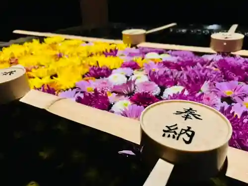 土津神社｜こどもと出世の神さまの手水舎