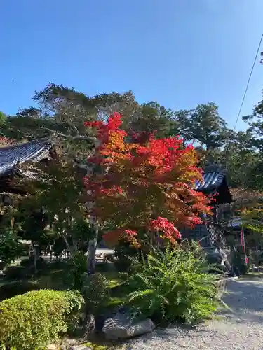丹生大師 神宮寺の自然