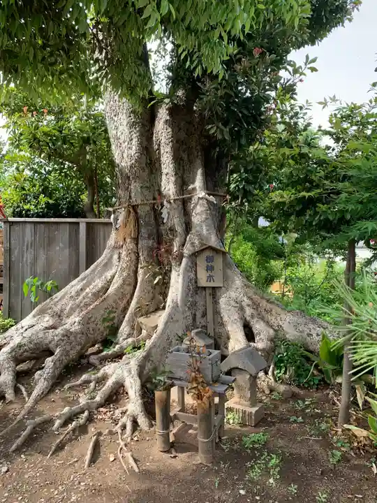 園生神社(千葉県)