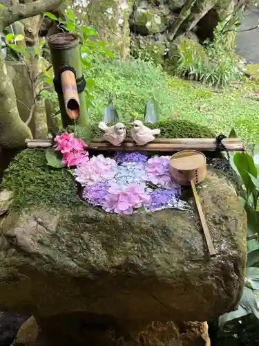 柳谷観音　楊谷寺(京都府)