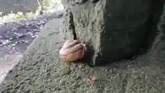 稲荷神社の動物