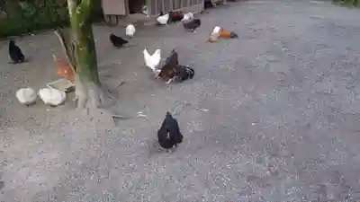 石上神宮(奈良県)