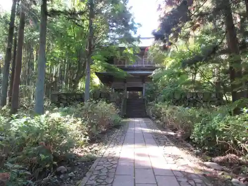 泰寧寺の山門