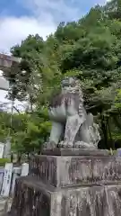 武田神社の狛犬