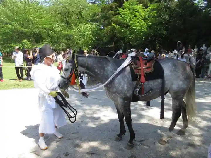 賀茂別雷神社(上賀茂神社)のお祭り