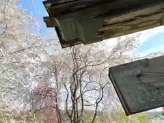 北赤井神社の自然