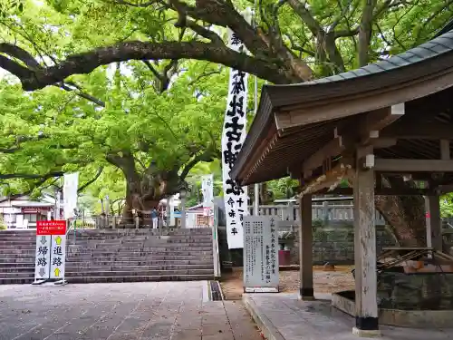 大麻比古神社の手水舎