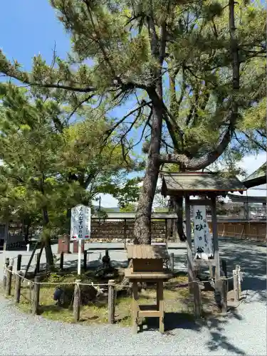 阿蘇神社(熊本県)