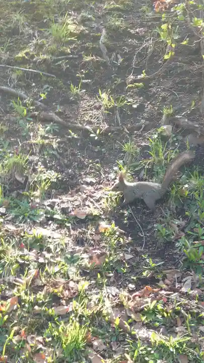 相馬神社(北海道)