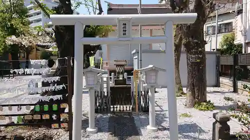 高田氷川神社の鳥居