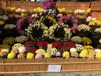 宗像大社の自然