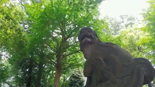 上連雀神明社の狛犬