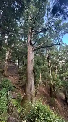 玉置神社(奈良県)