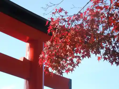 伏見稲荷大社(京都府)