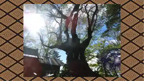 熊野皇大神社(長野県)