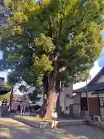 島頭天満宮(大阪府)