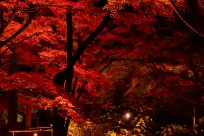 北野天満宮(京都府)