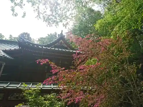 高尾山薬王院の庭園