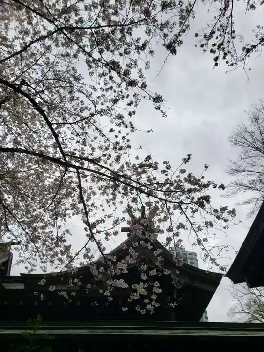 熊野神社(東京都)