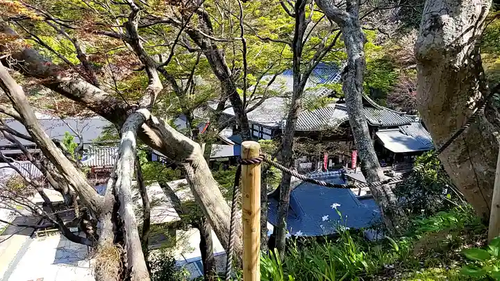 岡寺(龍蓋寺)(奈良県)