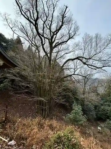 正法寺(滋賀県)