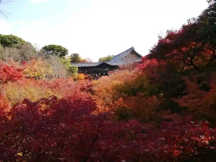 東福禅寺(東福寺)の景色
