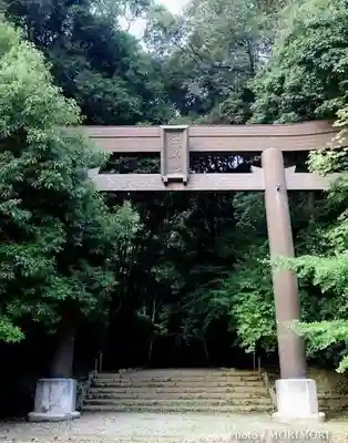 槵觸神社の鳥居