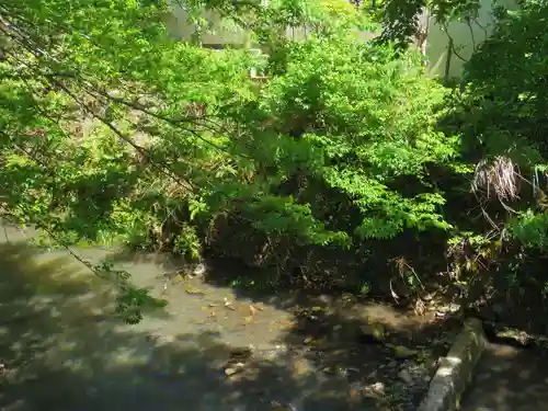 蛭子神社の周辺